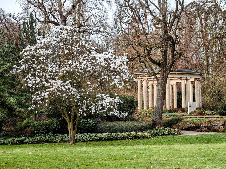 IMG_20260323_162030-EDIT