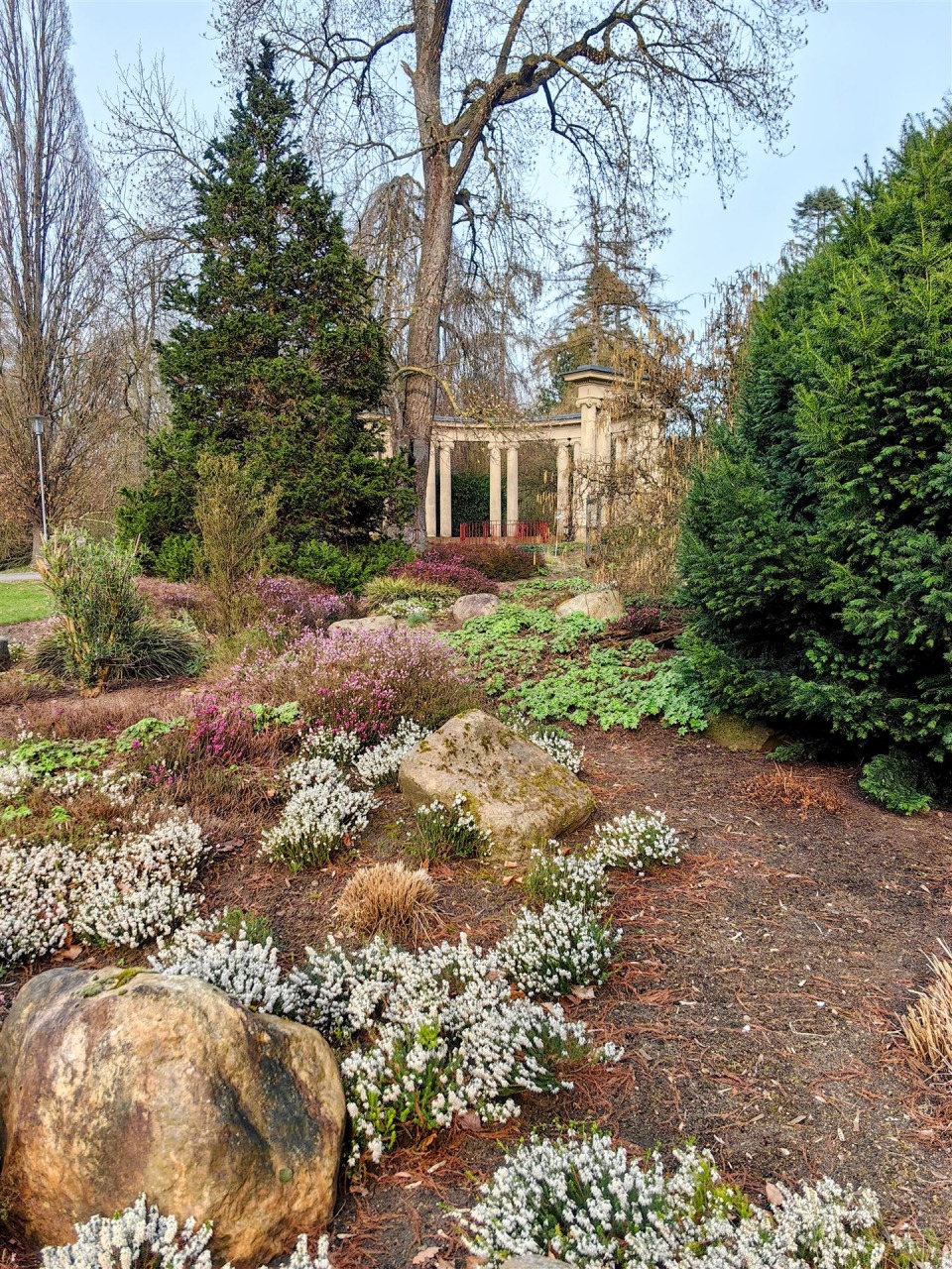 IMG_20260323_162152-EDIT