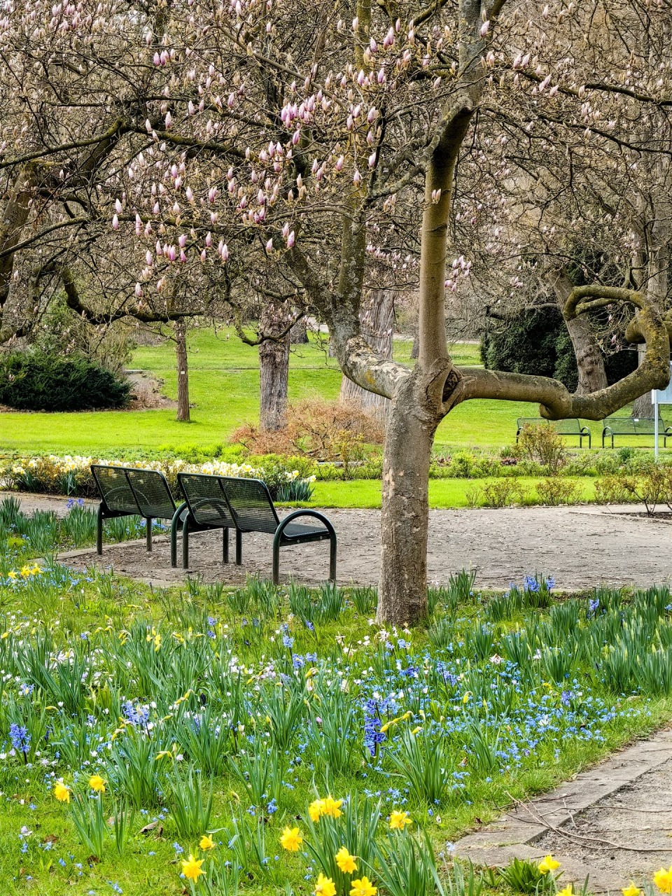 IMG_20260323_162346-EDIT