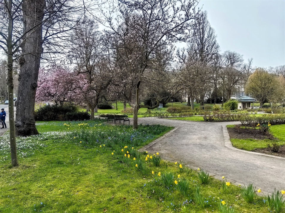 IMG_20260323_162357-EDIT