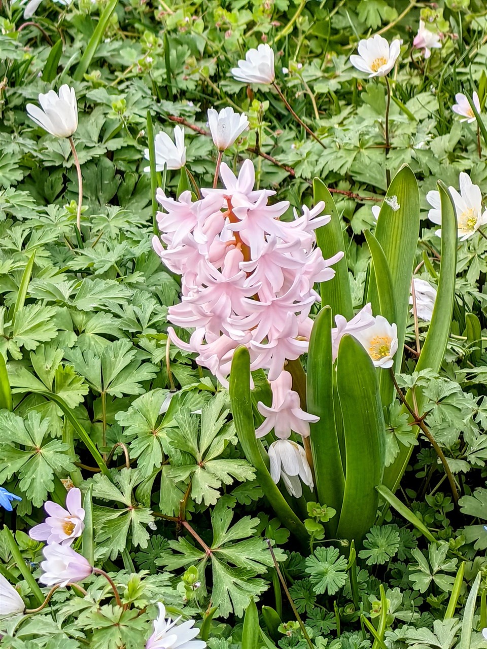 IMG_20260323_162441-EDIT