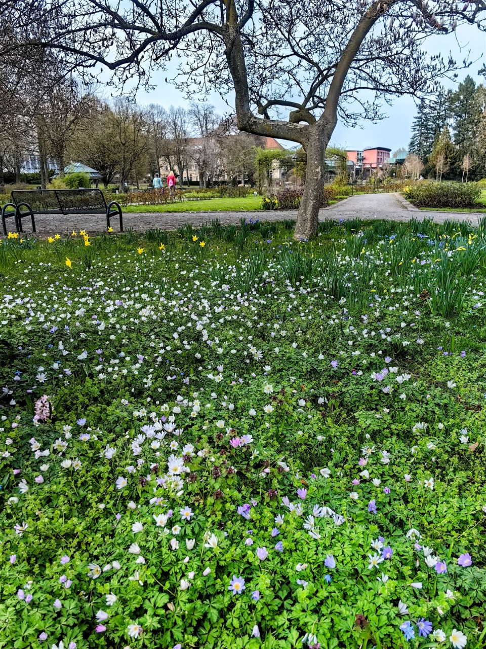 IMG_20260323_162511-EDIT