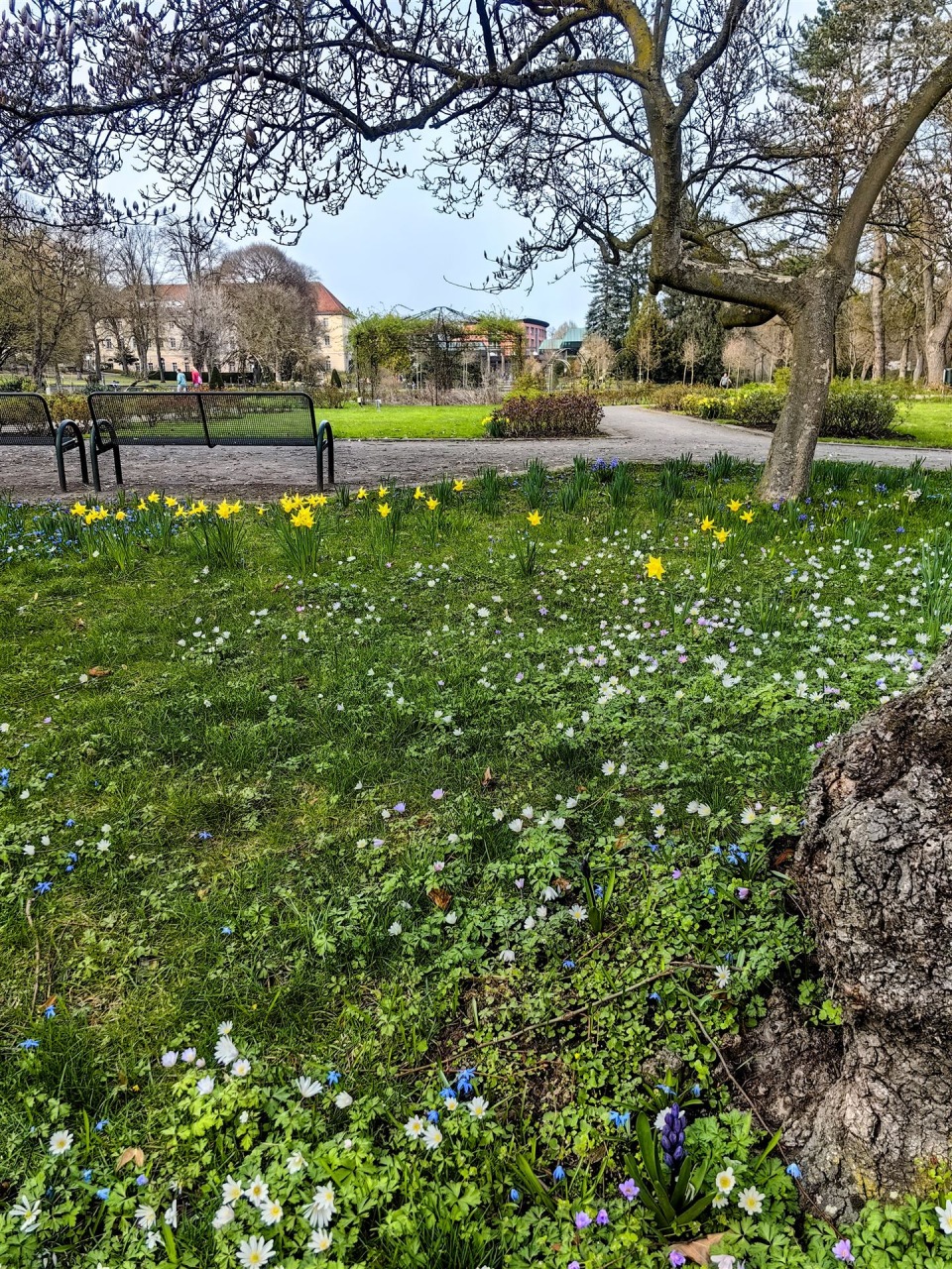 IMG_20260323_162529-EDIT