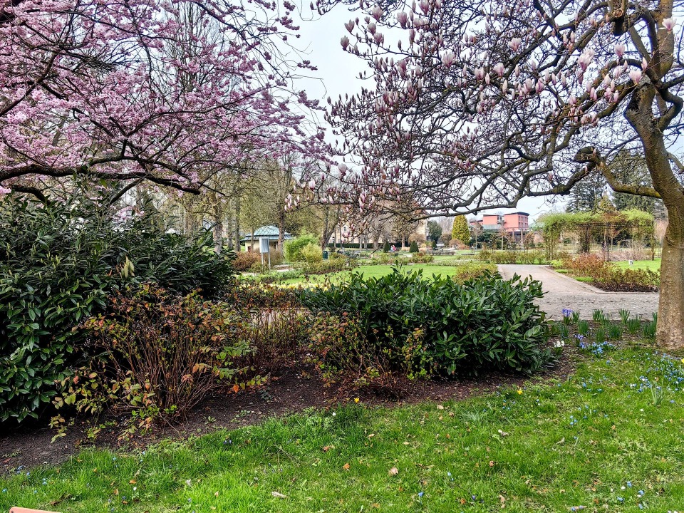 IMG_20260323_162603-EDIT