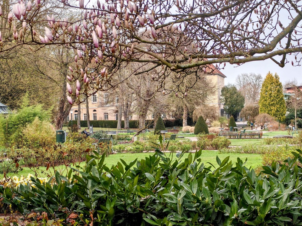 IMG_20260323_162616-EDIT