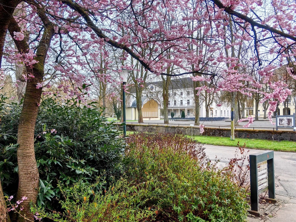 IMG_20260323_162703-EDIT