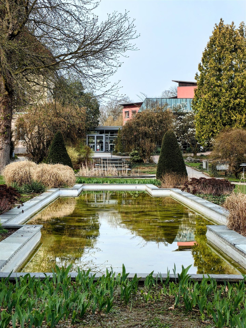 IMG_20260323_163000-EDIT