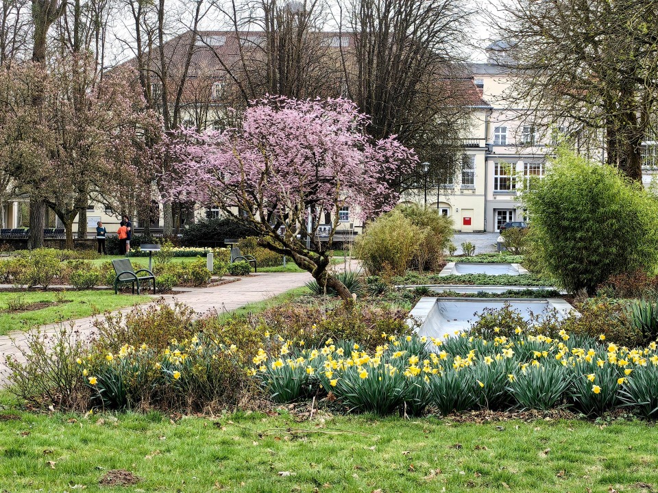 IMG_20260323_163034-EDIT