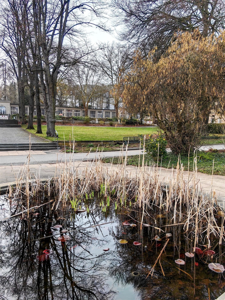 IMG_20260323_163156-EDIT