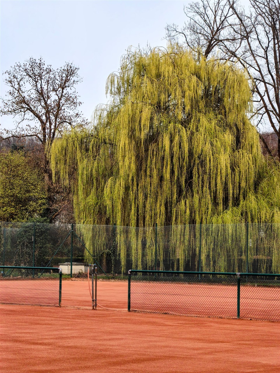 IMG_20260323_163541-EDIT