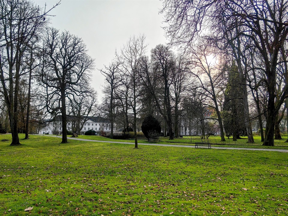 IMG_20260323_163806-EDIT